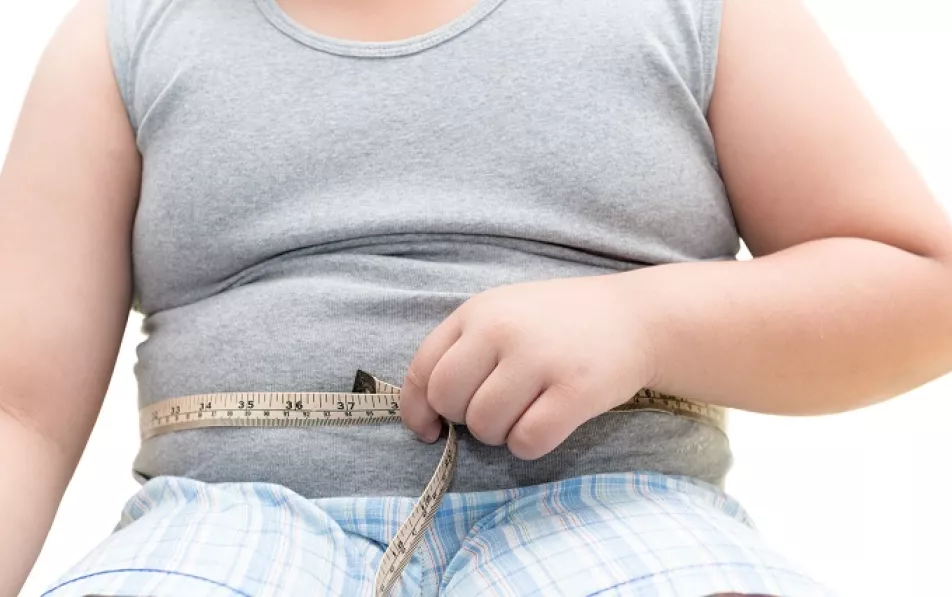 WHO warnt: Adipositas bei Kindern bald häufiger als Untergewicht