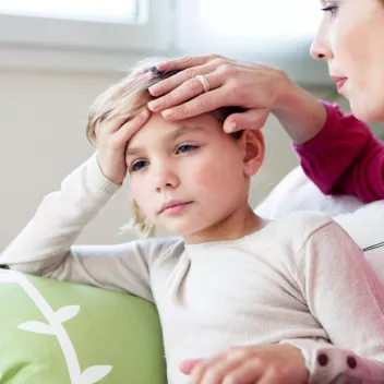 ©RFBSIP - stock.adobe.com